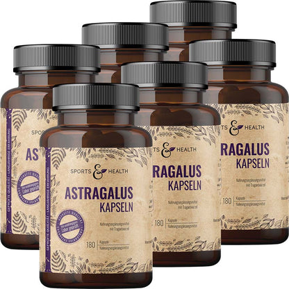 Astragalus Kapseln
