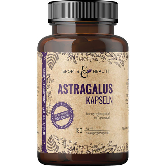 Astragalus Kapseln