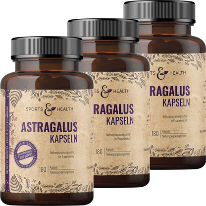 Astragalus Kapseln