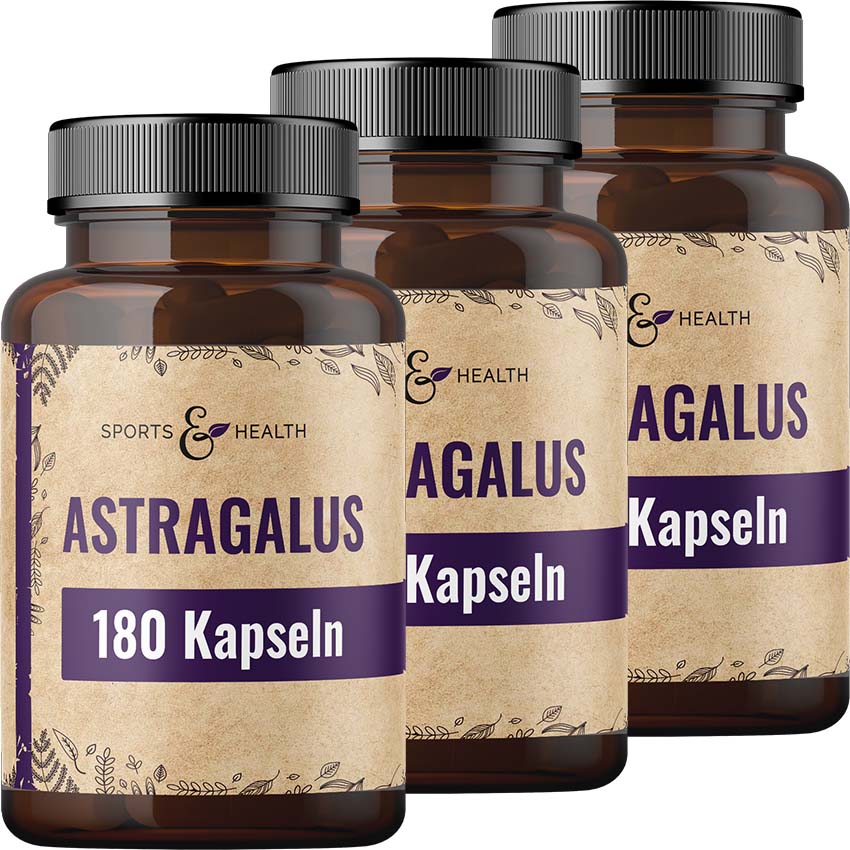 Astragalus Kapseln