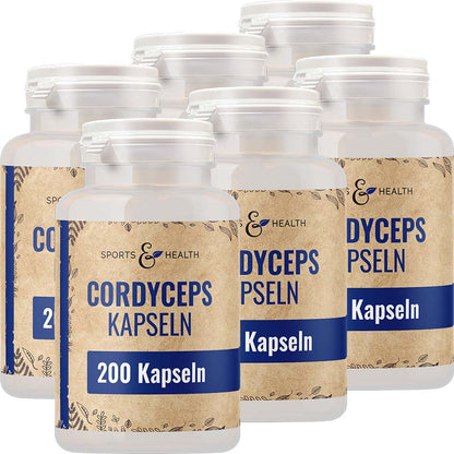 Cordyceps Kapseln