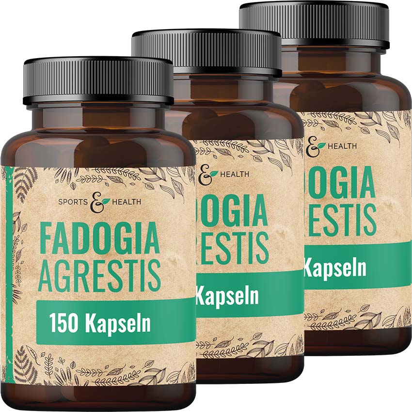 Fadogia Agrestis Kapseln