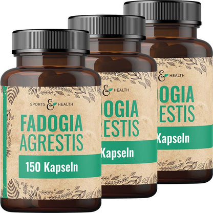 Fadogia Agrestis Kapseln