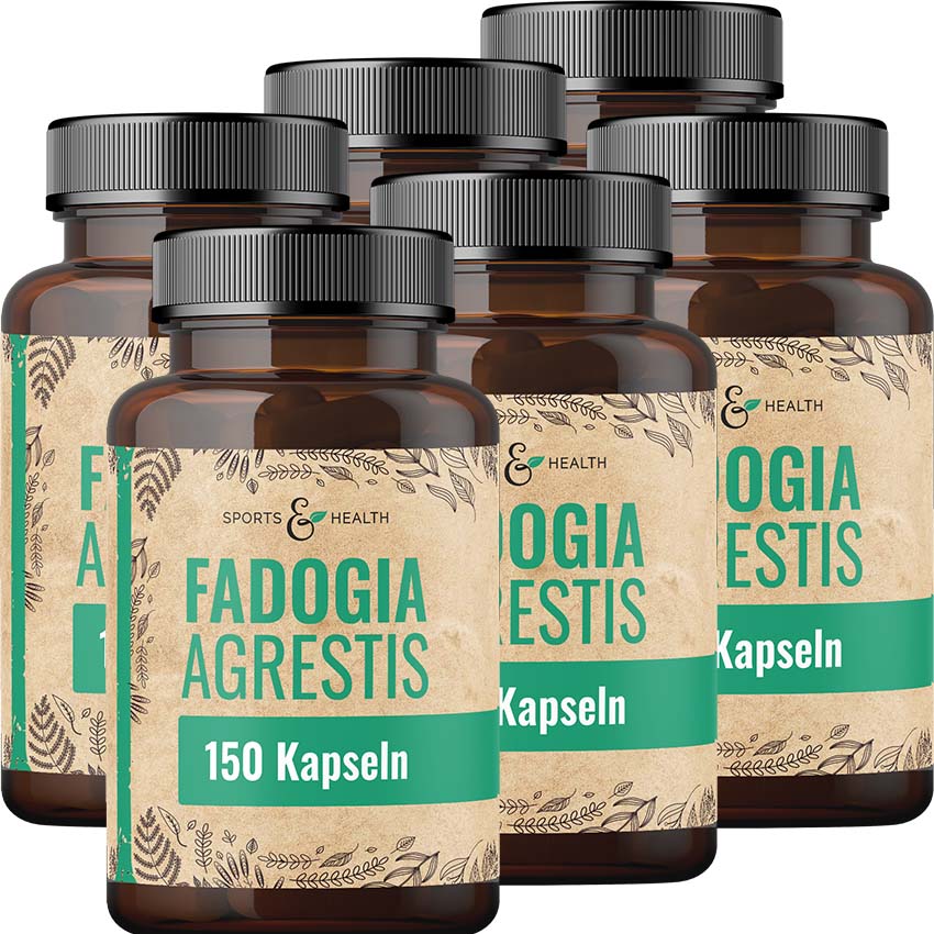 Fadogia Agrestis Kapseln
