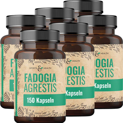 Fadogia Agrestis Kapseln