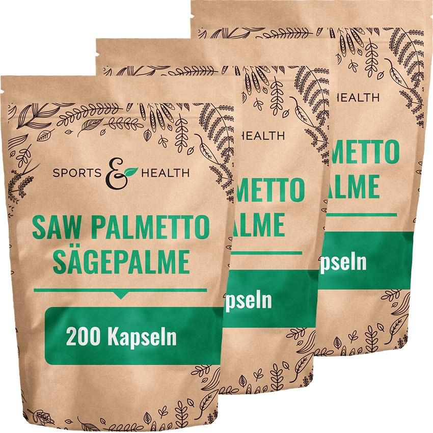 Saw Palmetto Sägepalme