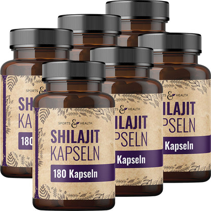 Shilajit Kapseln